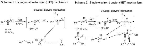 Image 1: Scheme 1 -Hydrogen atom transfer (HAT) mechanism; Image 2: Scheme 2 - Single electron transfer (SET) mechanism