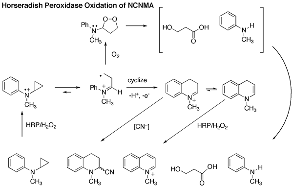 Horseradish Peroxidase Oxidation of NCNMA