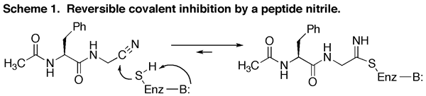 Scheme 1: Reversible covalent inhibition by a peptide nitrile