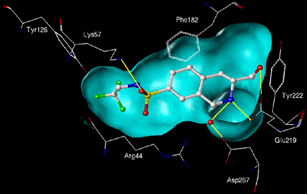 Binding interactions in the active site of human PNMT with the inhibitor 7-N-(2,2,2-trifluoroethyl)-aminosulfonyl-3-hydroxymethyl-1,2,3,4-tetrahydroisoquinoline (hPNMT K i = 23 nM). Details in text below. 